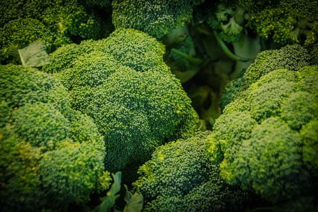 broccoli plant growing stages