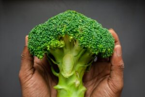 broccoli plant growing stages