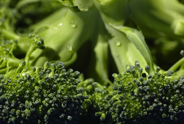 when to harvest broccoli