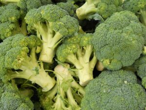 when to harvest broccoli
