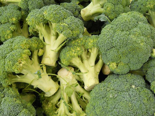 when to harvest broccoli